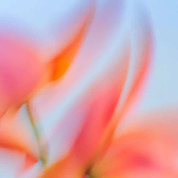 Le printemps en regard 