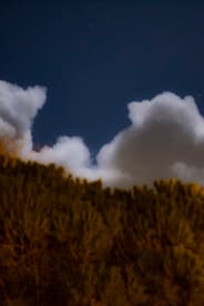 Méandre sous la lune