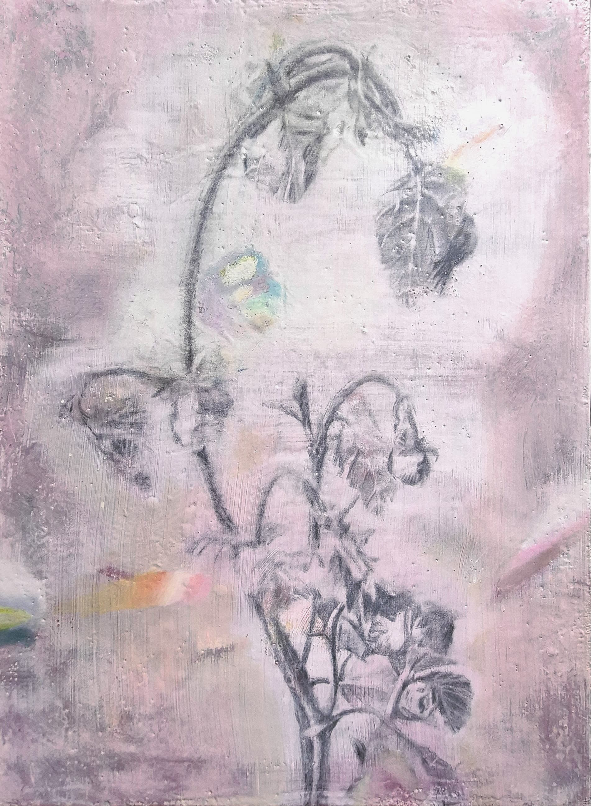 Traces