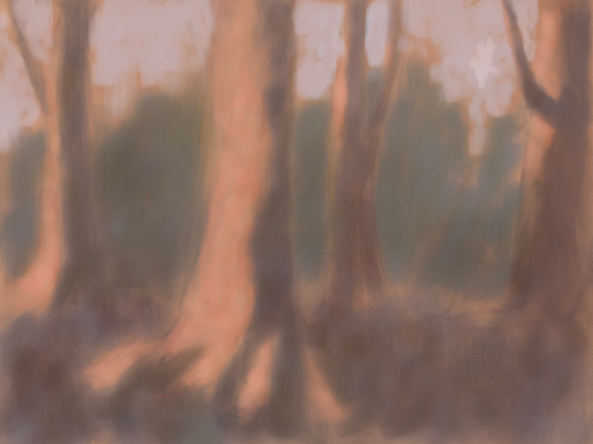 Série : Paysages phosphorescents