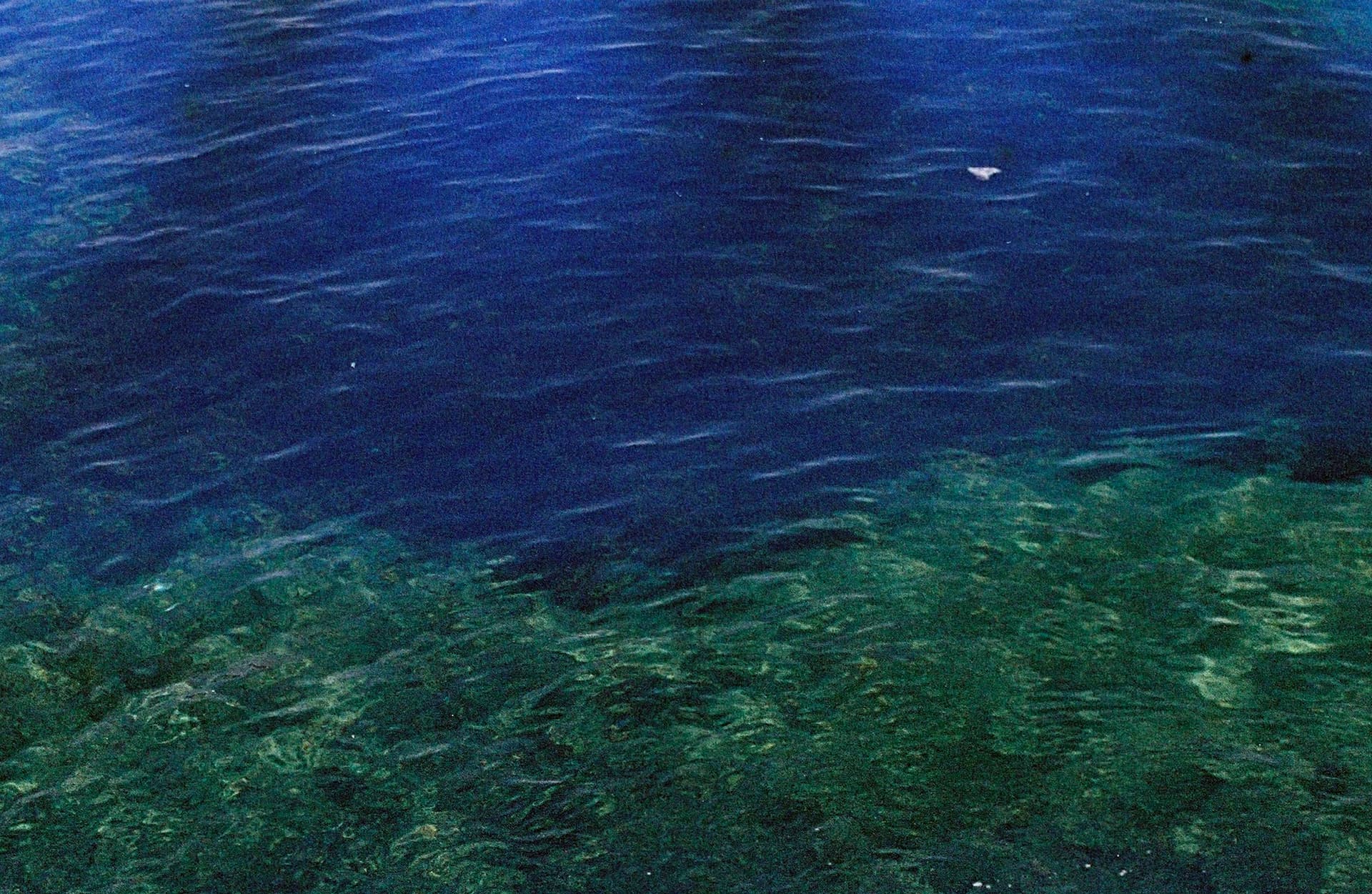Bleu Océan - image 2