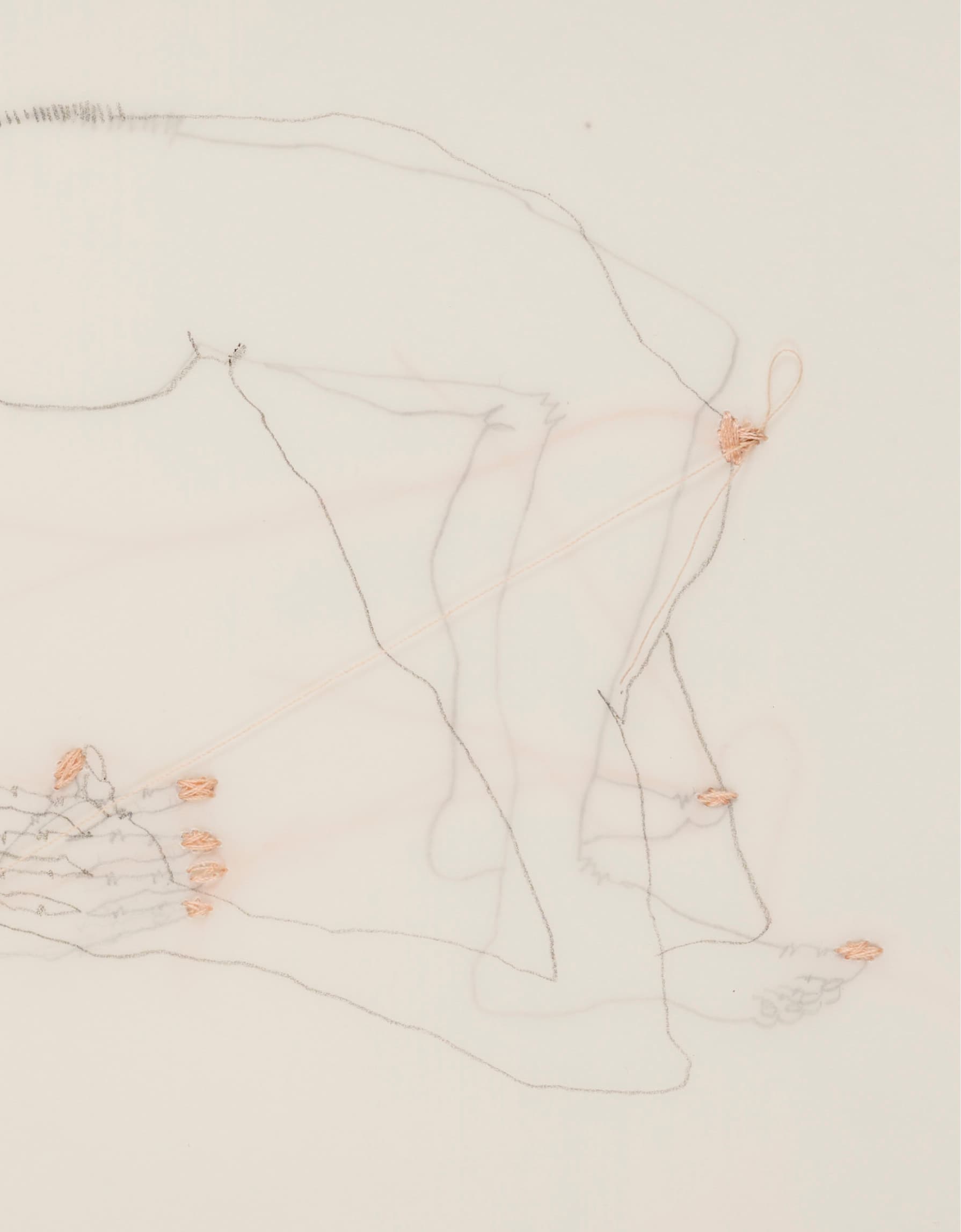 L'Effet papillon - image 2