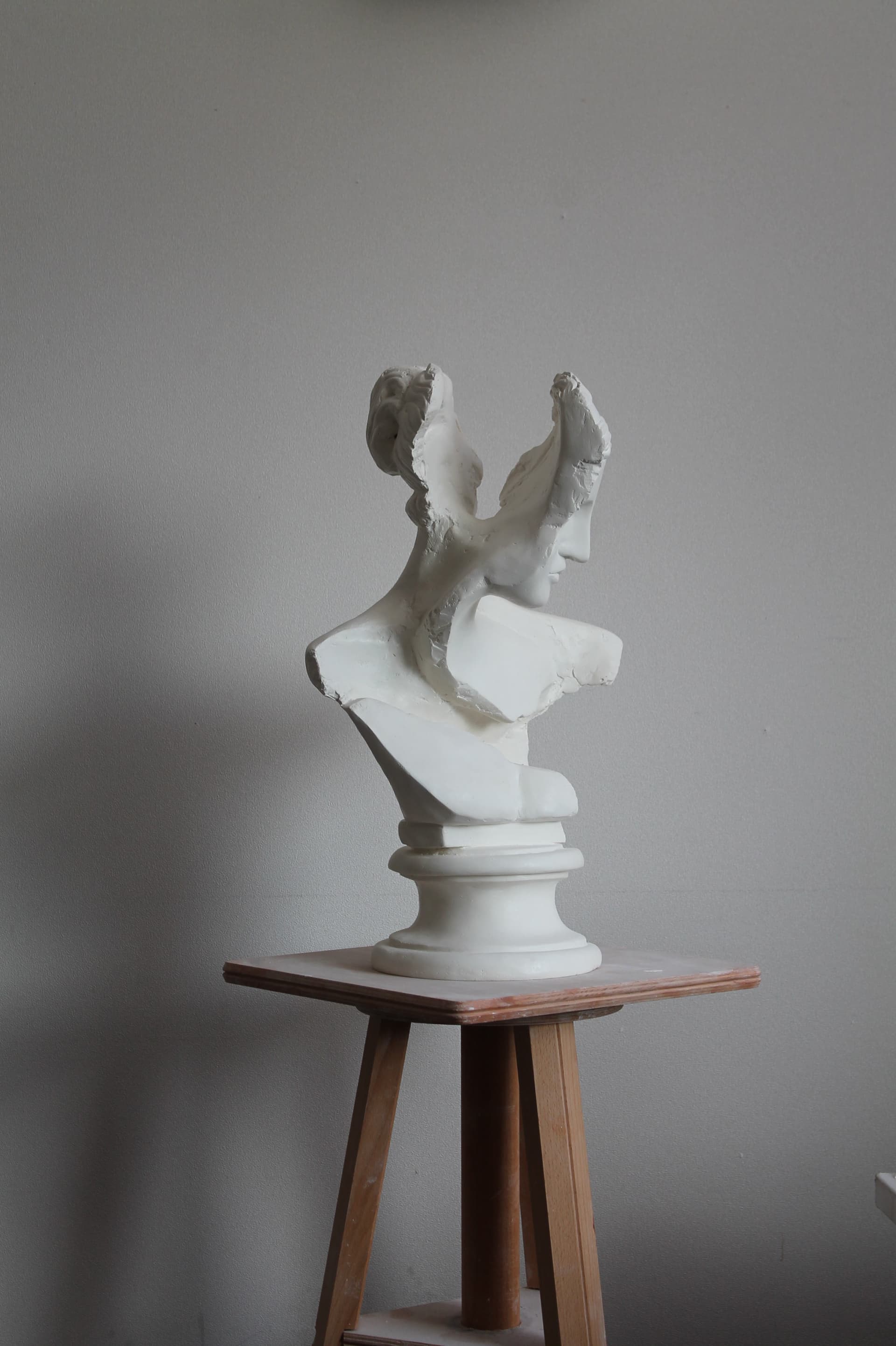 Vénus fragmentée #5 - image 2