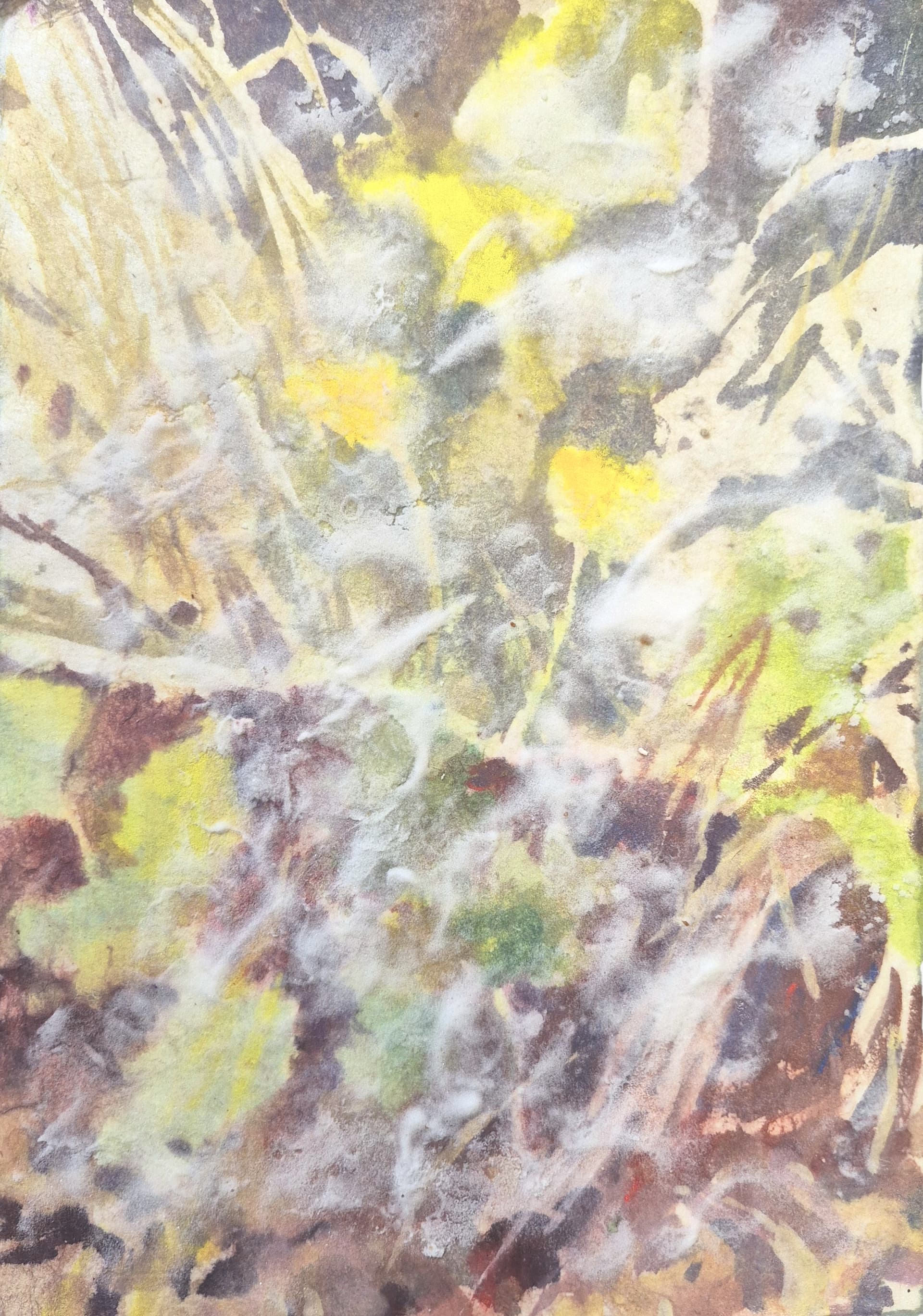 Aquarelle « Boutons d'or » par Luc Pommet, œuvre d'art originale