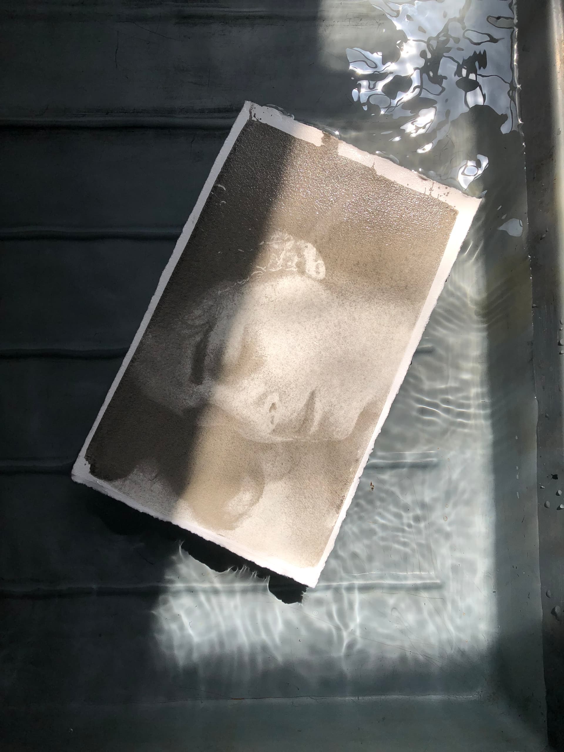 Présences fragiles - Image 5