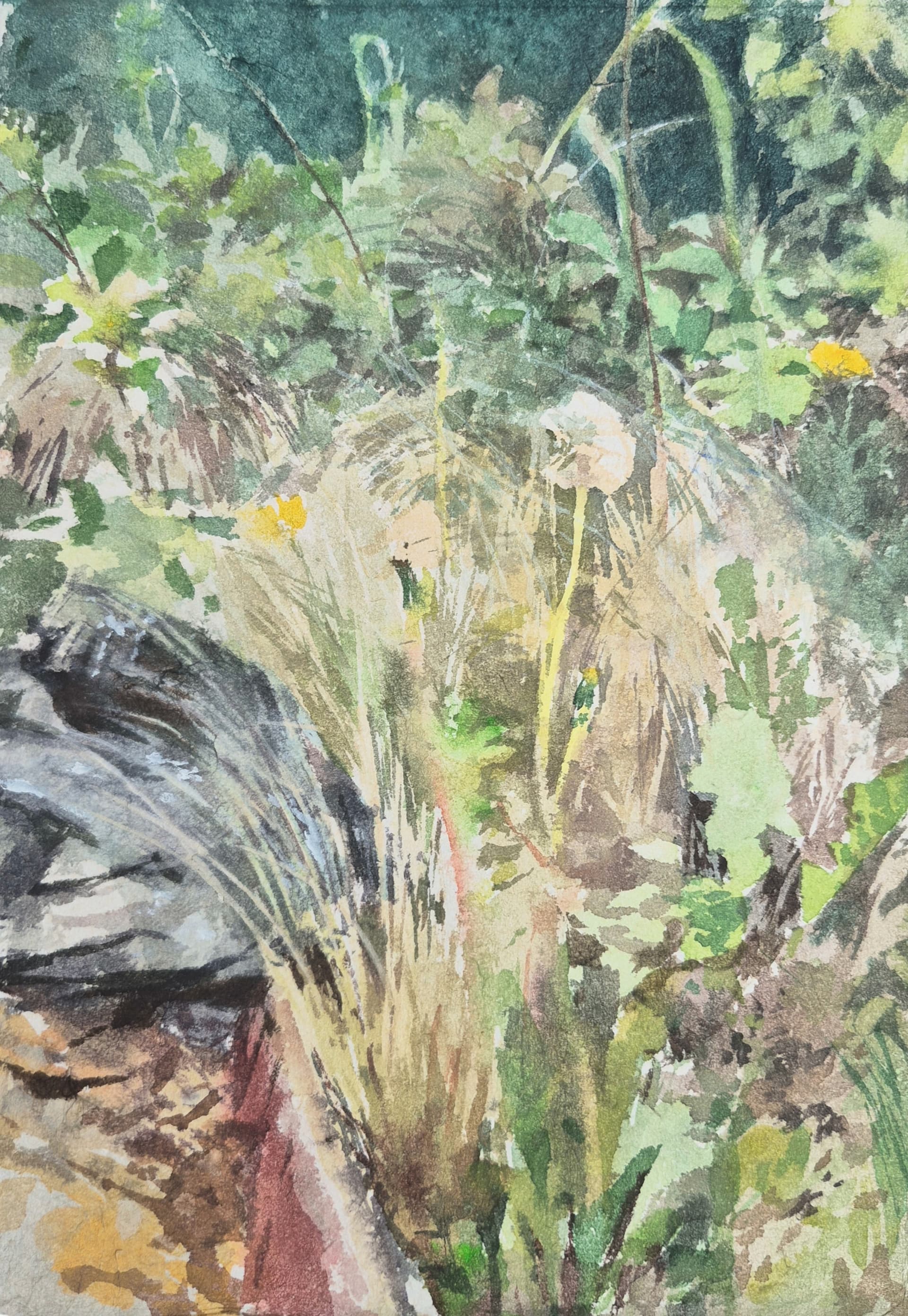 Aquarelle « Bout de jardin » par Luc Pommet, œuvre d'art originale