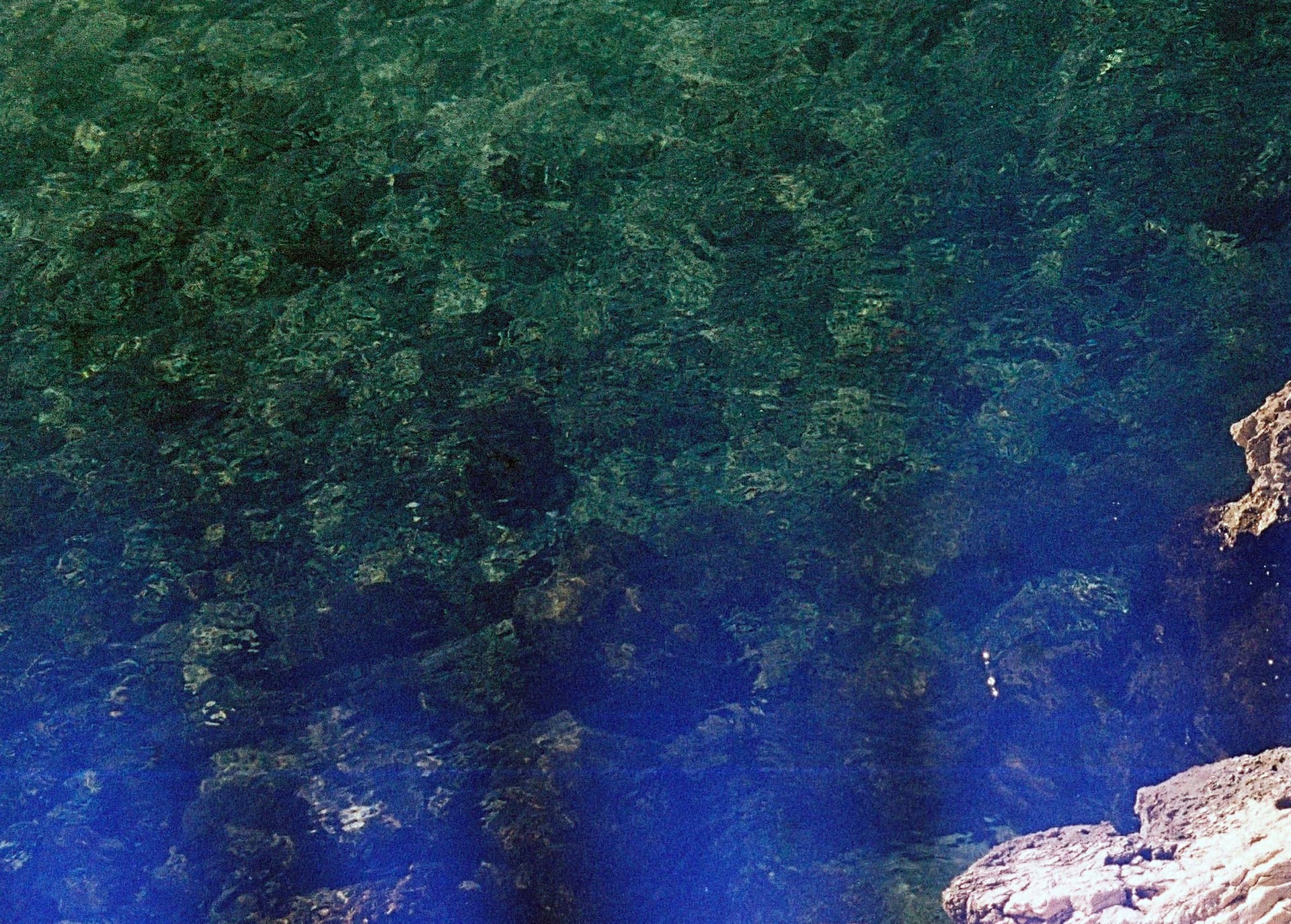 Bleu Océan - image 3