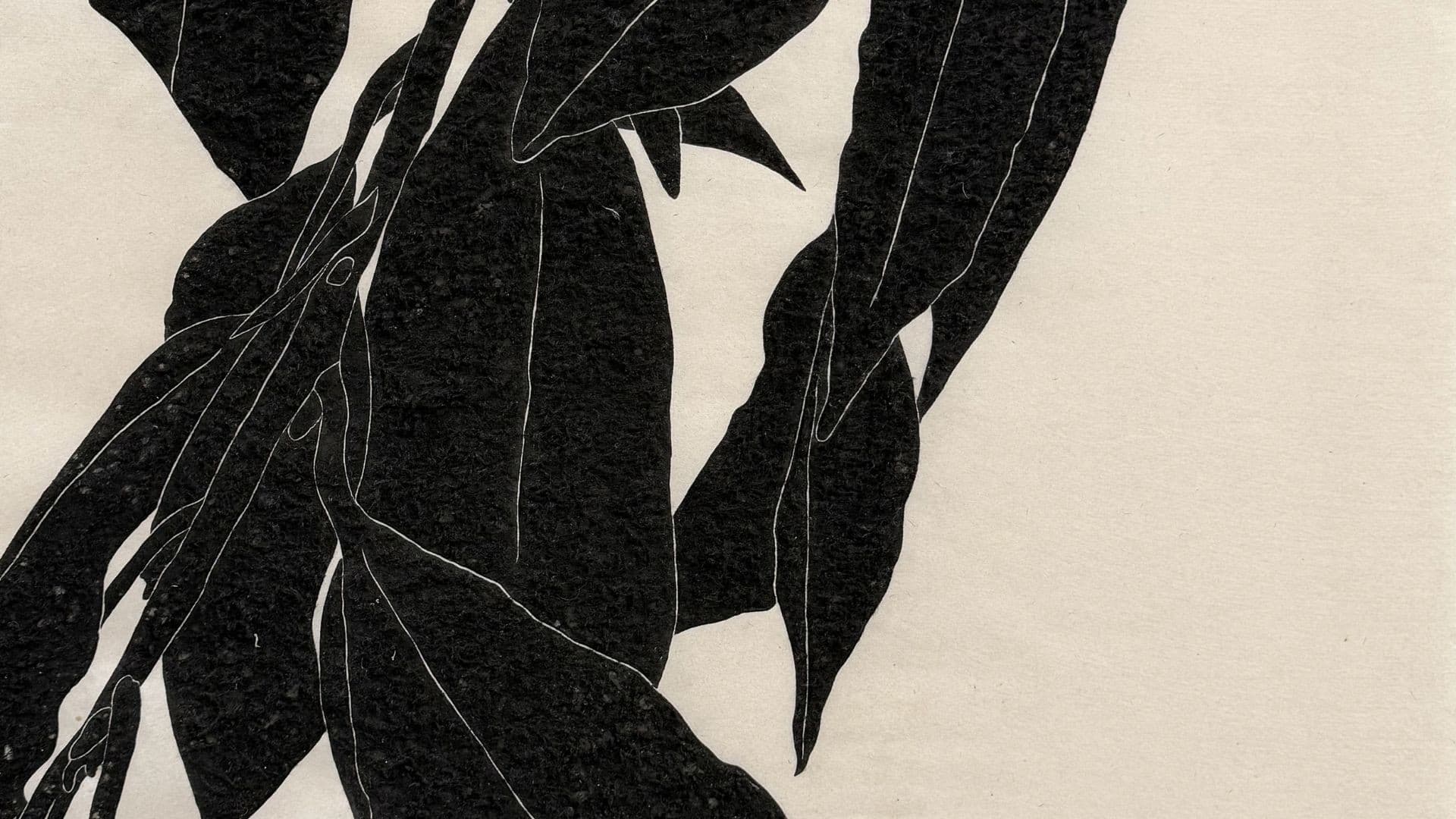 Le dessin contemporain
