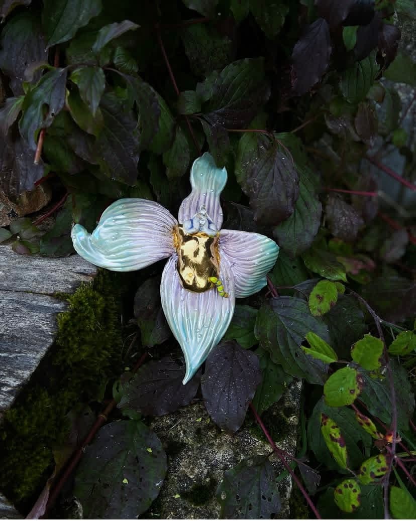 Faire revivre- Orchidée numéro 7 - image 2