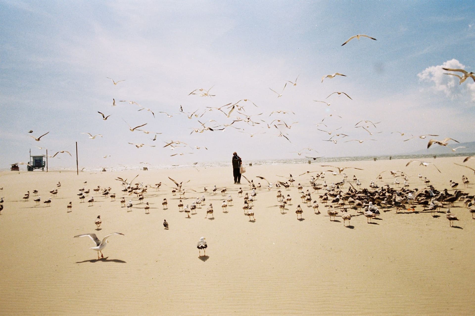 Photo de l'artiste Clément Brelet d'un homme entouré d'oiseaux