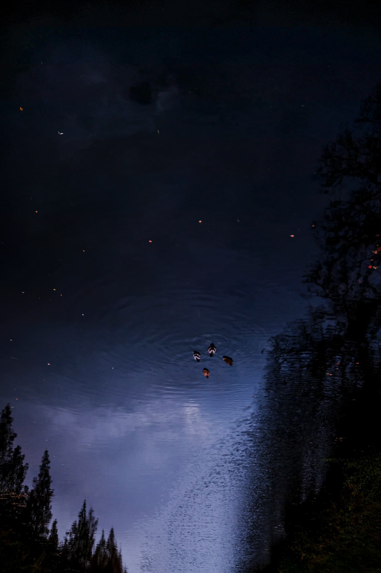 Vertige