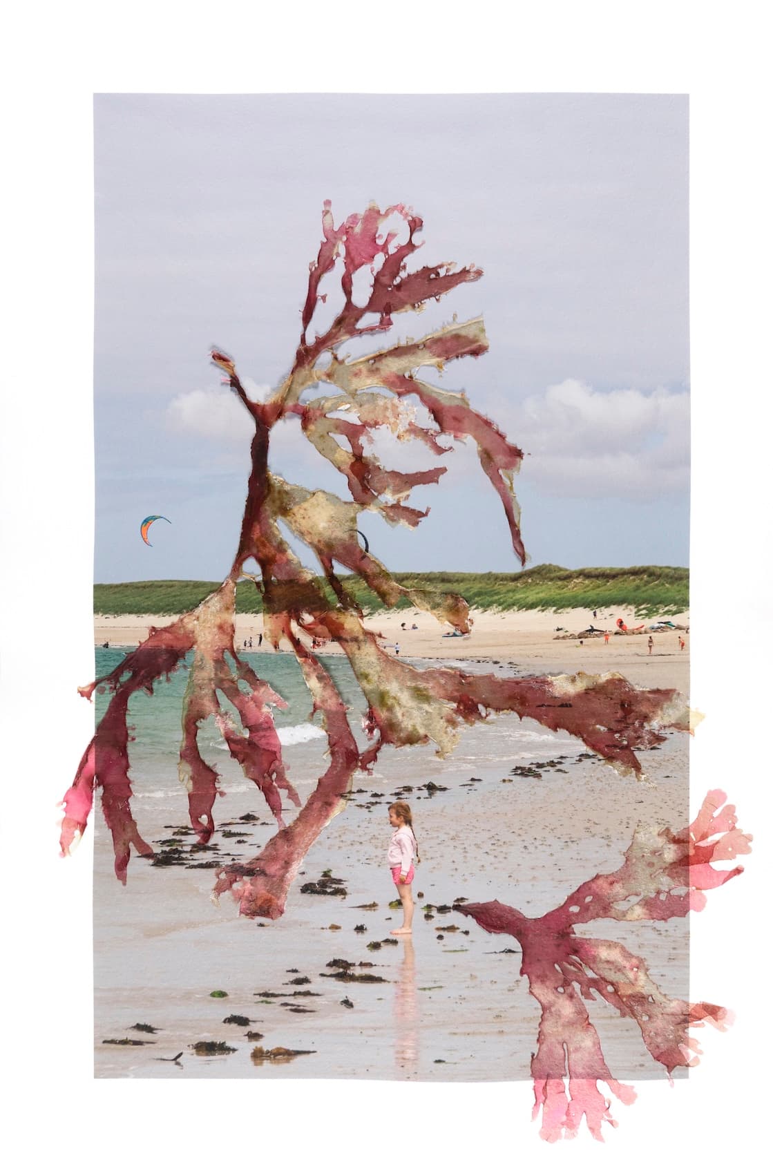 Photographie « Tirages alguier #5 » par Laura Martin Person, œuvre d'art originale