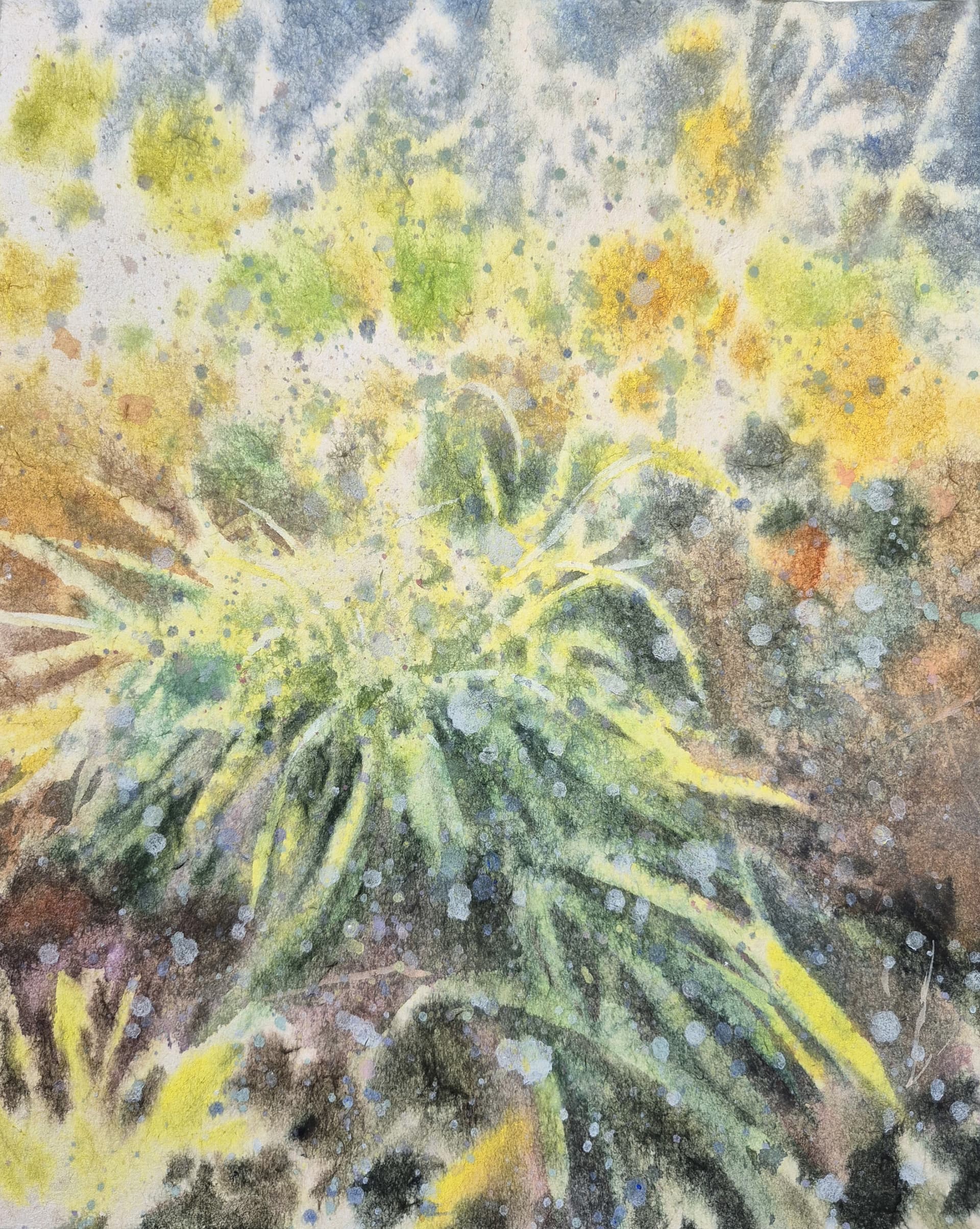 Aquarelle « Touffe d'herbe » par Luc Pommet, œuvre d'art originale