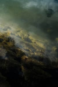 Terra Nostra - image 3