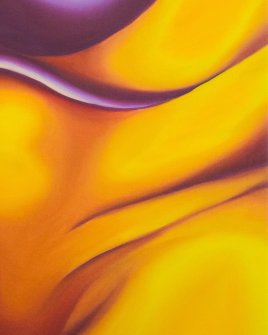 Plissé 012025 - image 3