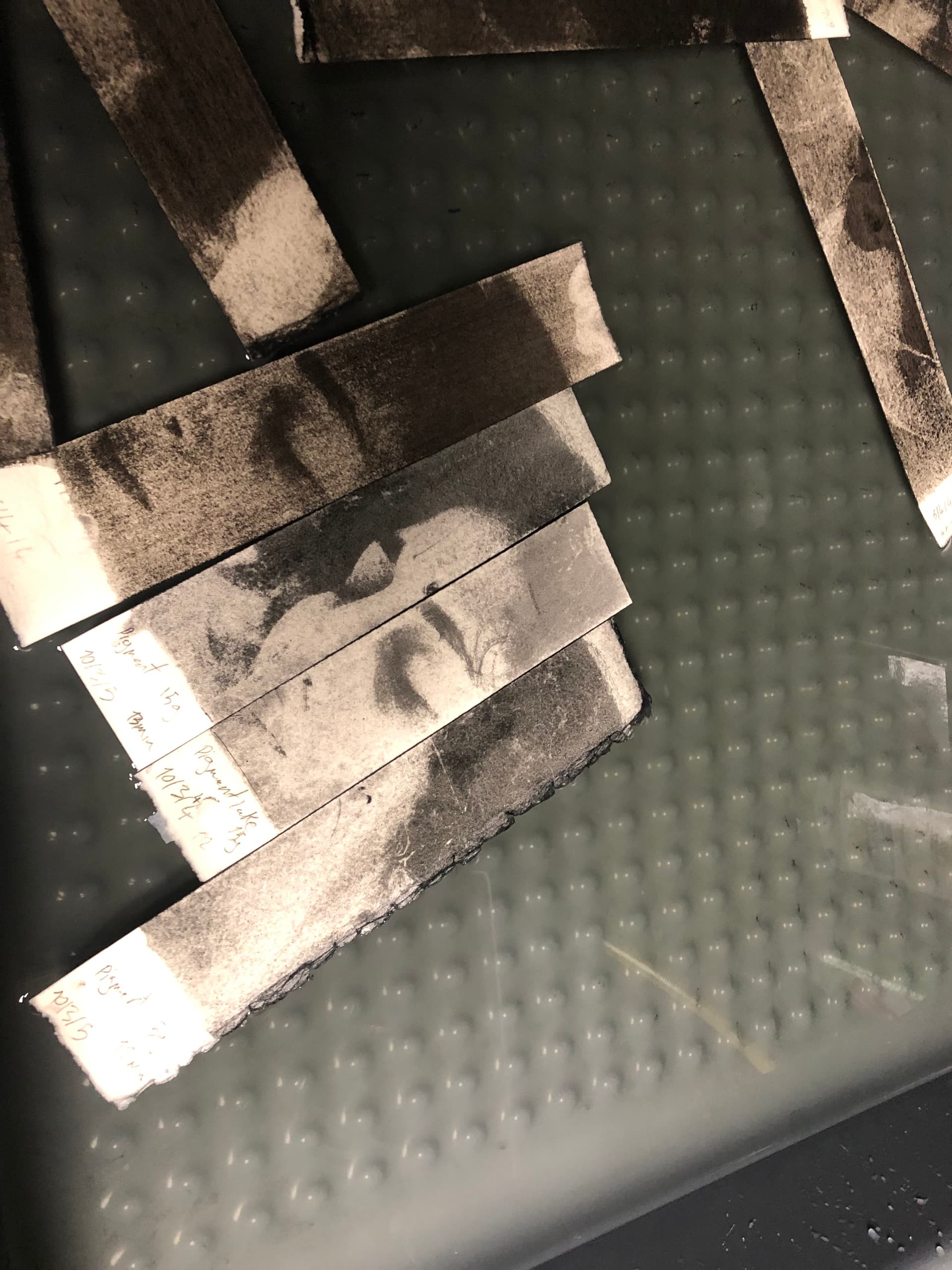 Présences fragiles - Image 3