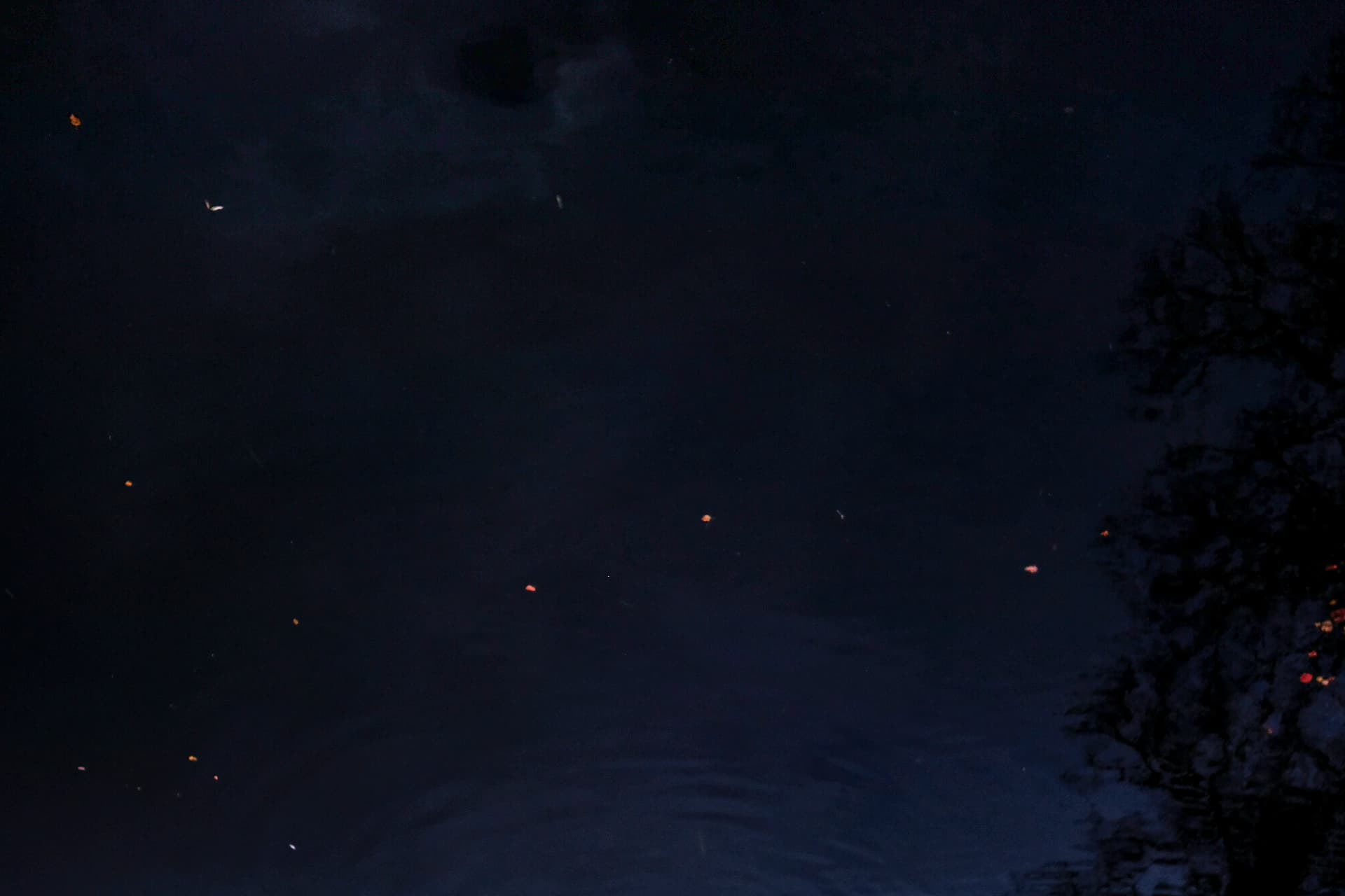 Vertige - image 3